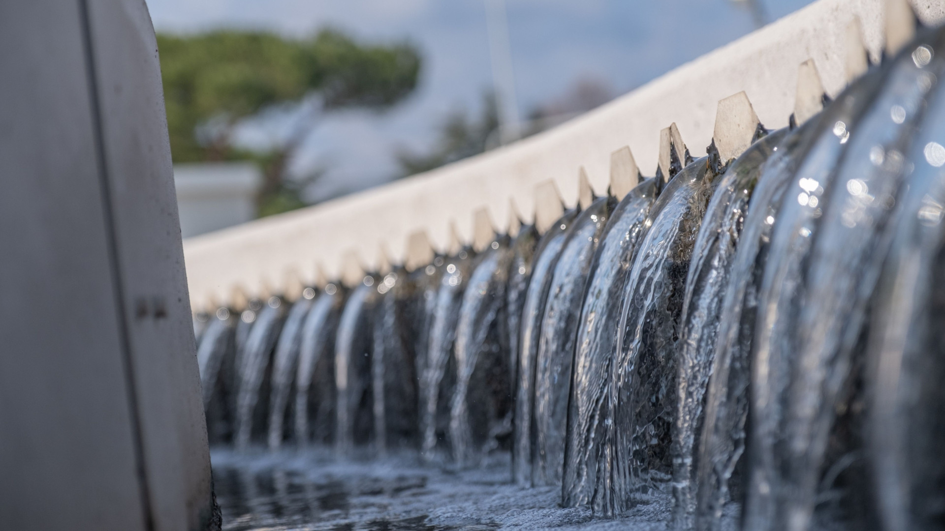 Monitoraggi ambientali